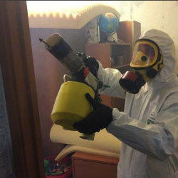 Уничтожение клопов в квартире. Лянтор